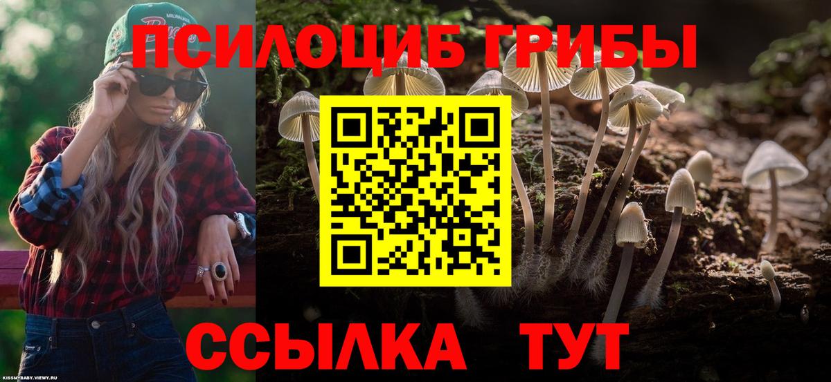 Галлюциногенные грибы мухоморы  Псилоцибиновые грибы Psilocybine cubensis  Кизилюрт  Вход с VPN 