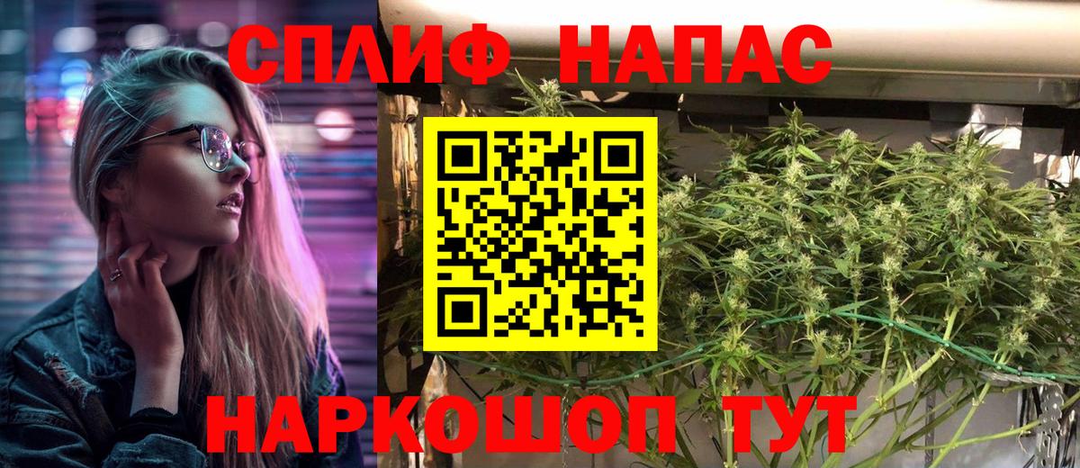 Кизилюрт  Канабис семена  Каннабис семена  Вход с VPN  МАРИХУАНА гибрид  Бошки Шишки индика 